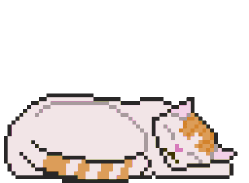 Cat Yawning
